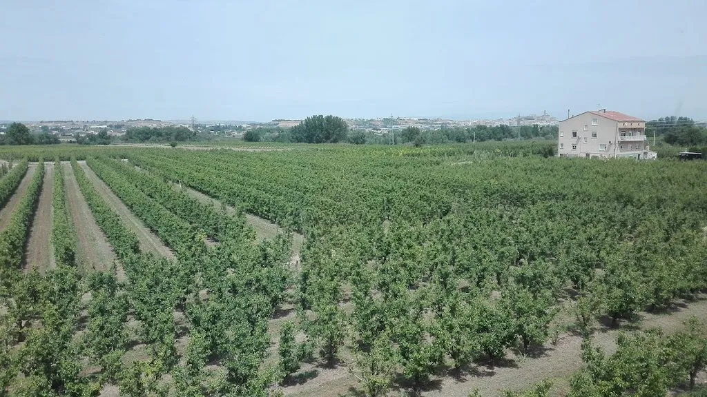 Restaurant La Vidriera_Albatàrrec_slider_image_3