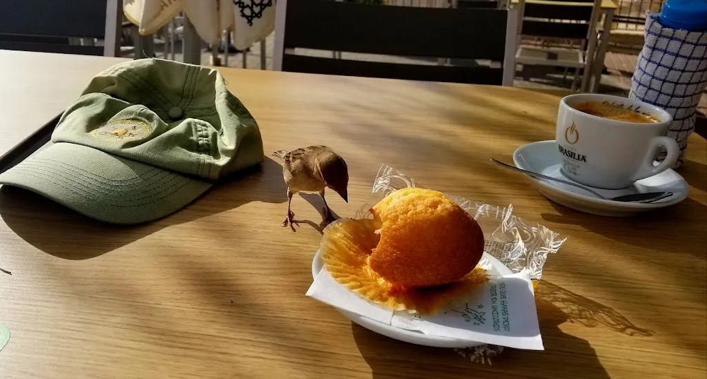 Menü_Bar Varetes_Llíber_Bild_5