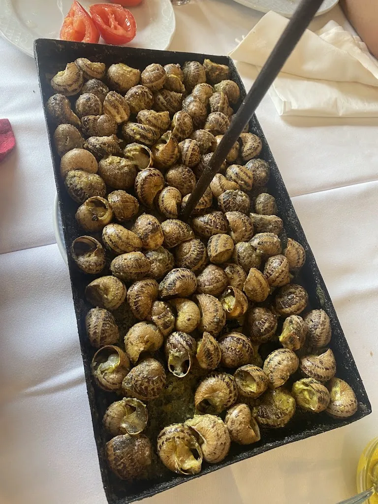 Zule Ruiz Baladón_Can Rubies_Alcanó_review