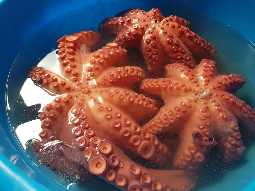 Menu_Cervecería VicMo_Jijona/Xixona_image_4