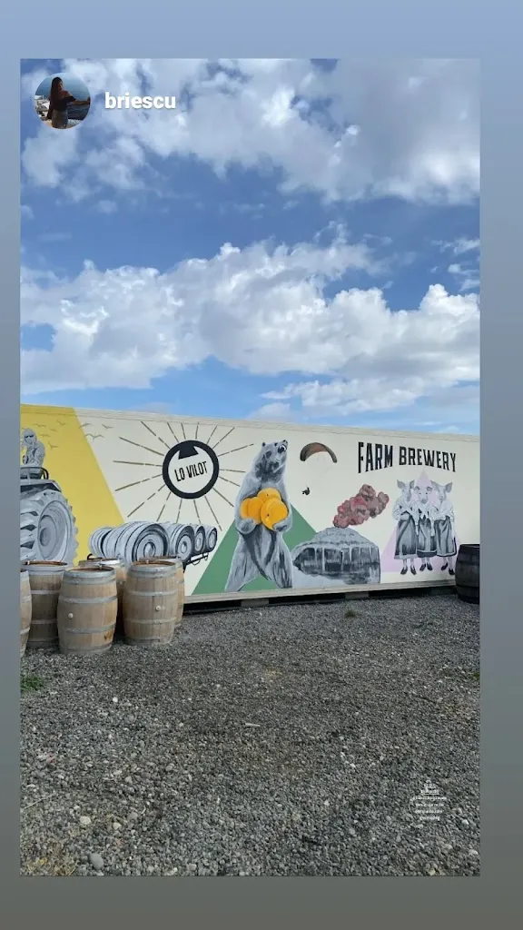 Ylenia Mayolas_Cervesa Lo Vilot_Almacelles_review