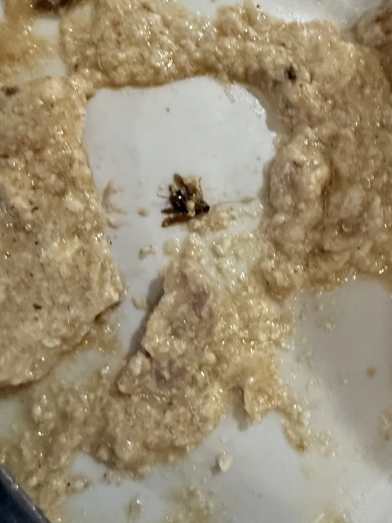 Manuel Pérez_Casa Pepita_Alpicat_review