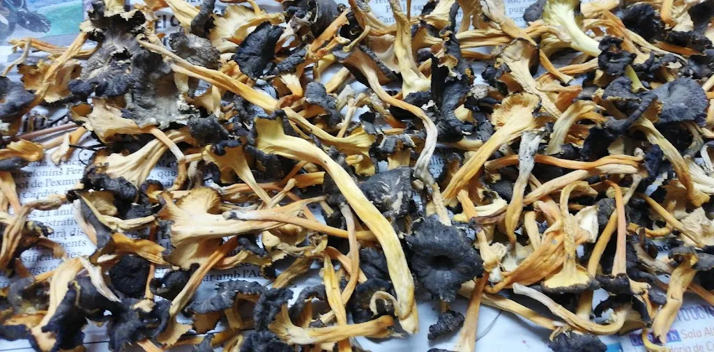 Menu_El Tit_Arbeca_image_3