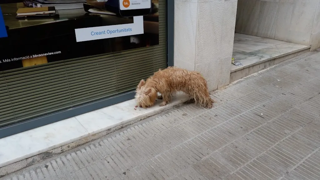 El Tit restaurant in Arbeca