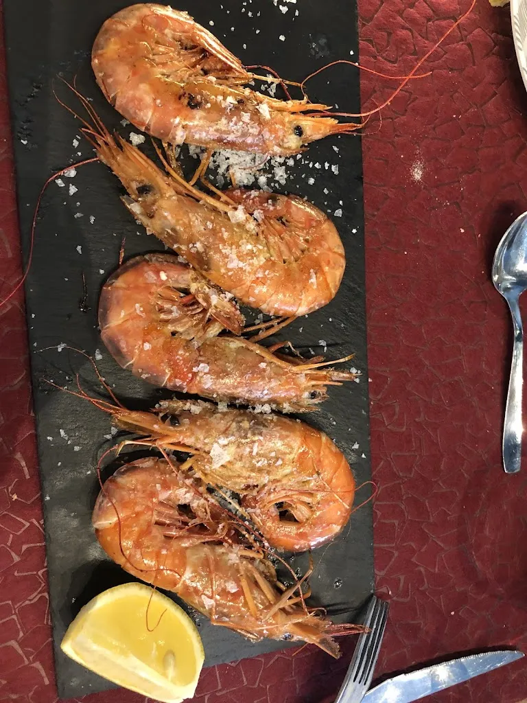 Giulio Toscani_El Vidari_Arbeca_review