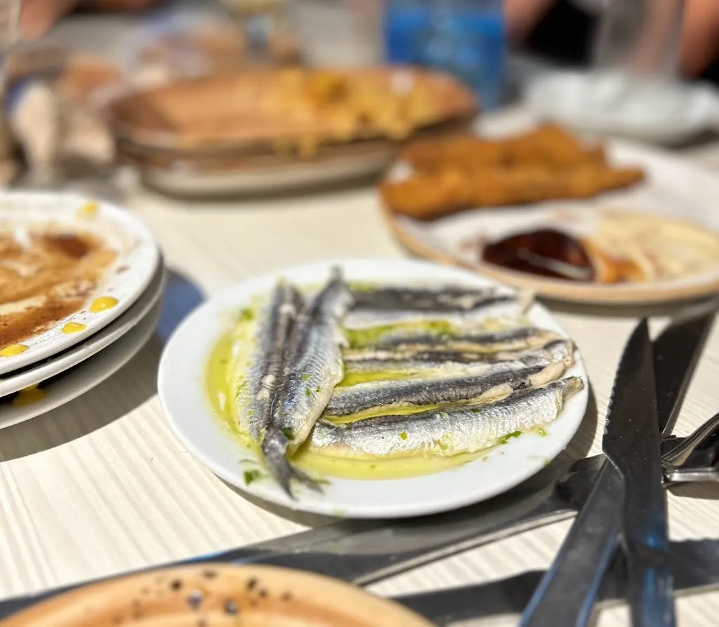 Marina Rave_Els Cremalls_Alt Àneu_review