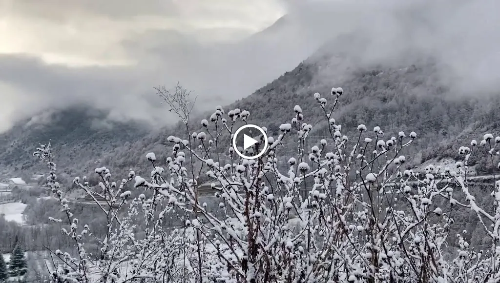 Restaurant Vall d'Àneu_Alt Àneu_slider_image_2