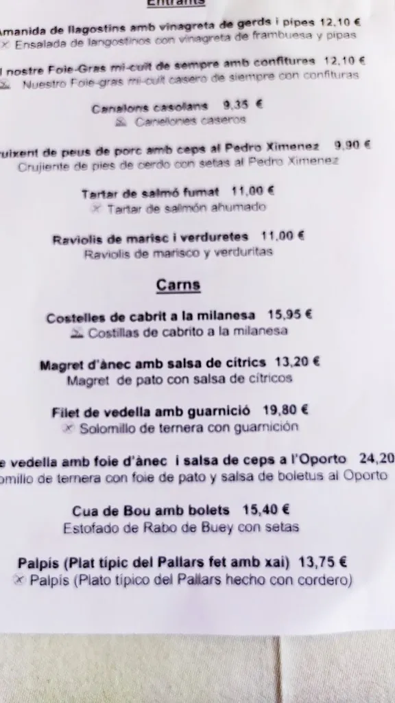 Menu_Els Puis Hotel Restaurant_Alt Àneu_immagine_3