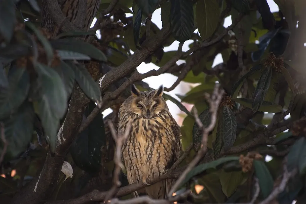 L'antic bar restaurant_Bellvís_slider_image_3
