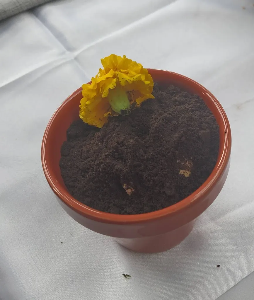 Menu_Sukulen_Benavent de Segrià_image_6