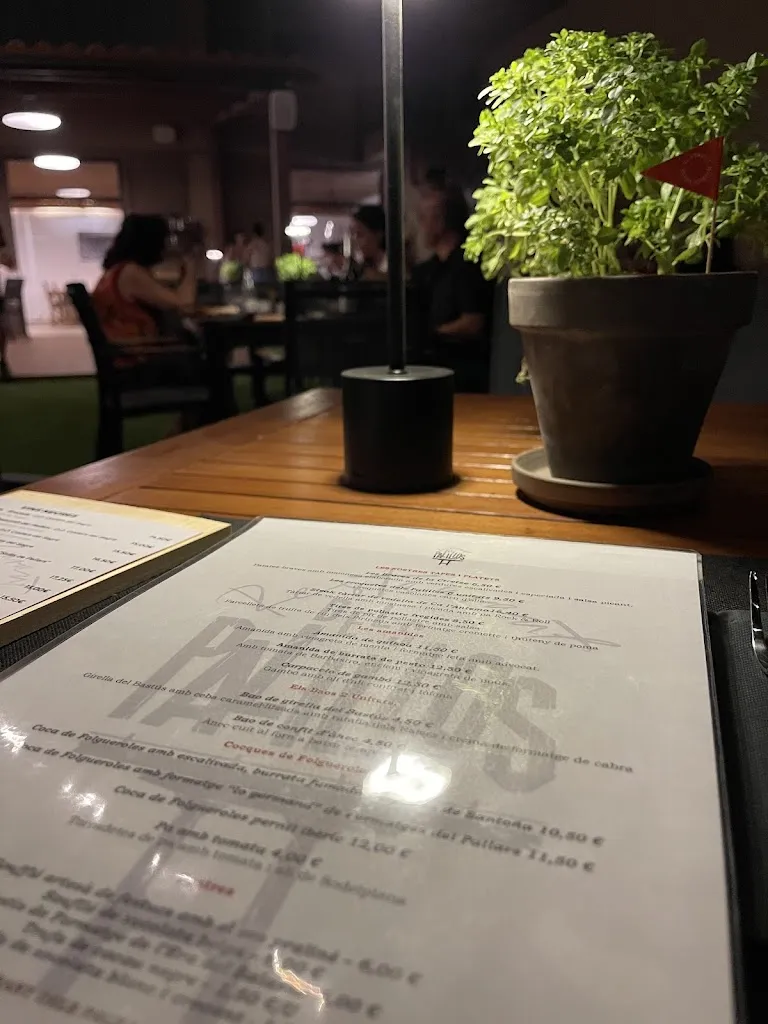 Menu_RESTAURANT DELS PALILLOS_Baix Pallars_image_1