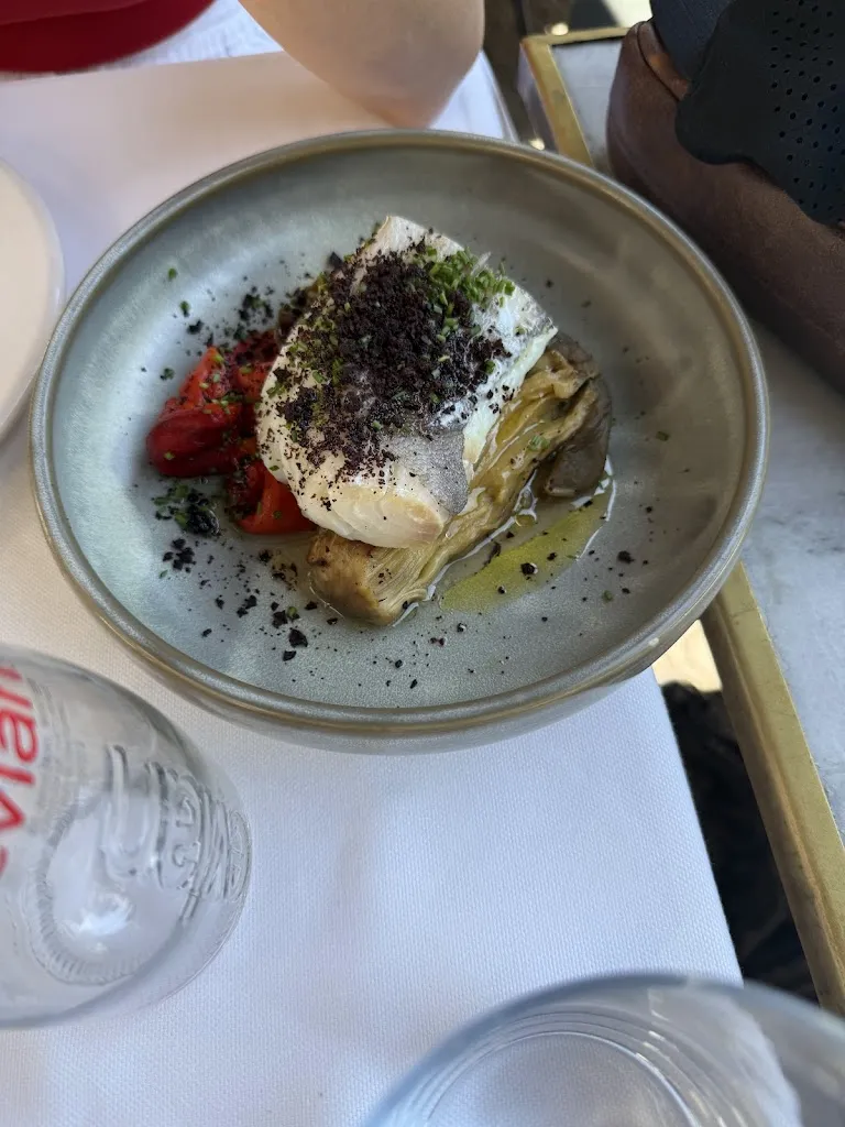 Edw Vergara_Camarasa_Camarasa_review