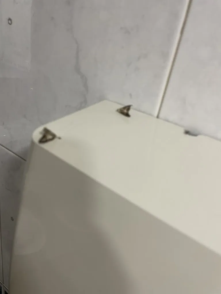 Jesús Renes_Camping Restaurant Entrellacs_Bassella_review