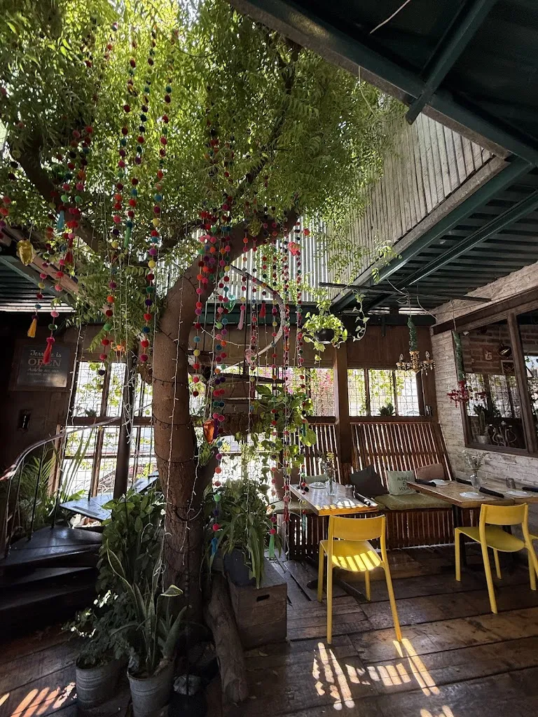 Kshitija Kulkarni_Outpost_Cabó_review