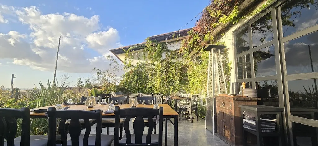 Kate Leonard_Pícaro Garden Cuisine by Romeo & Julieta_Cabó_review