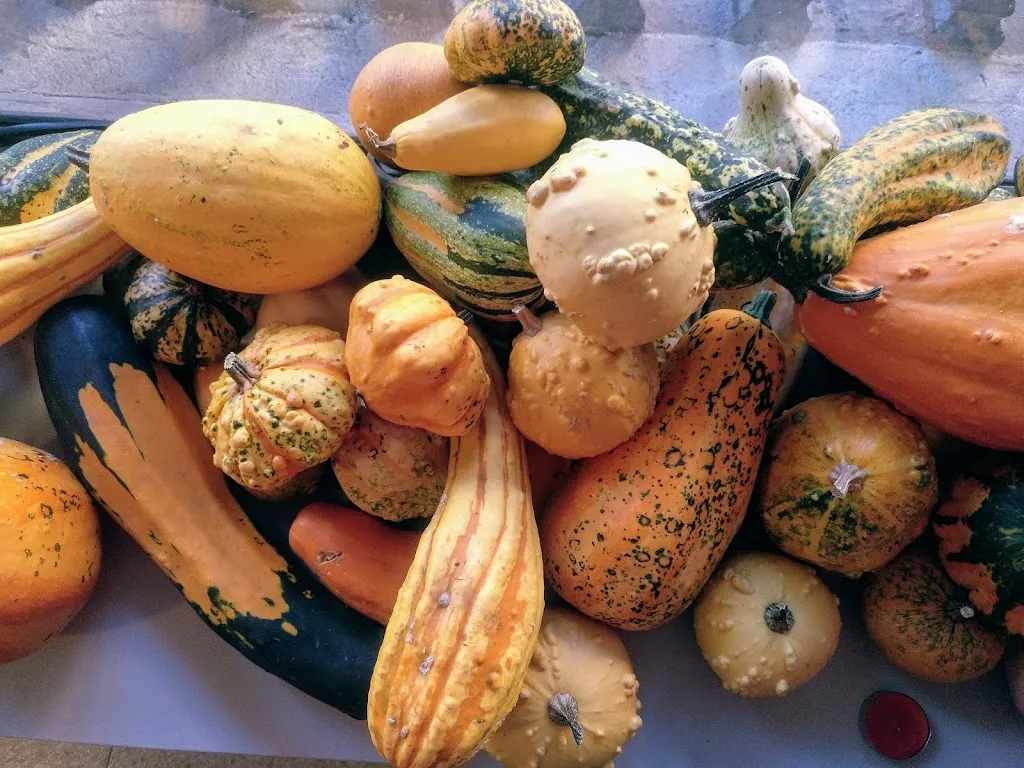 Menu_El 9 Syrah_Borges Blanques Les_image_7