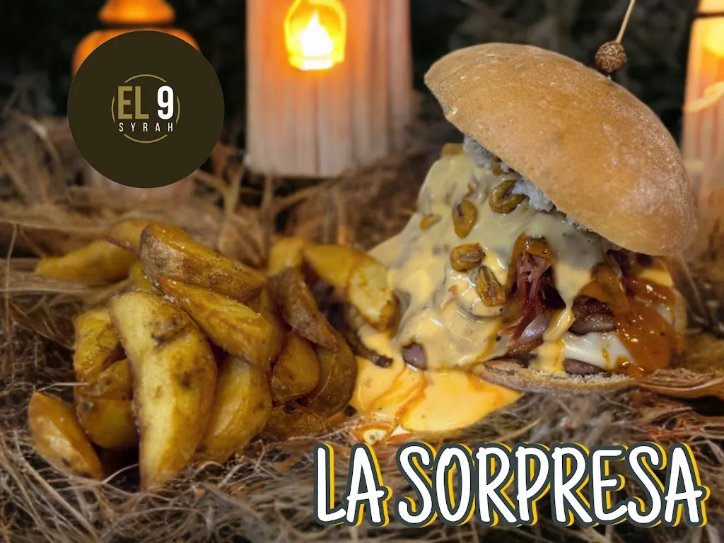 El 9 Syrah_Borges Blanques Les_slider_image_2
