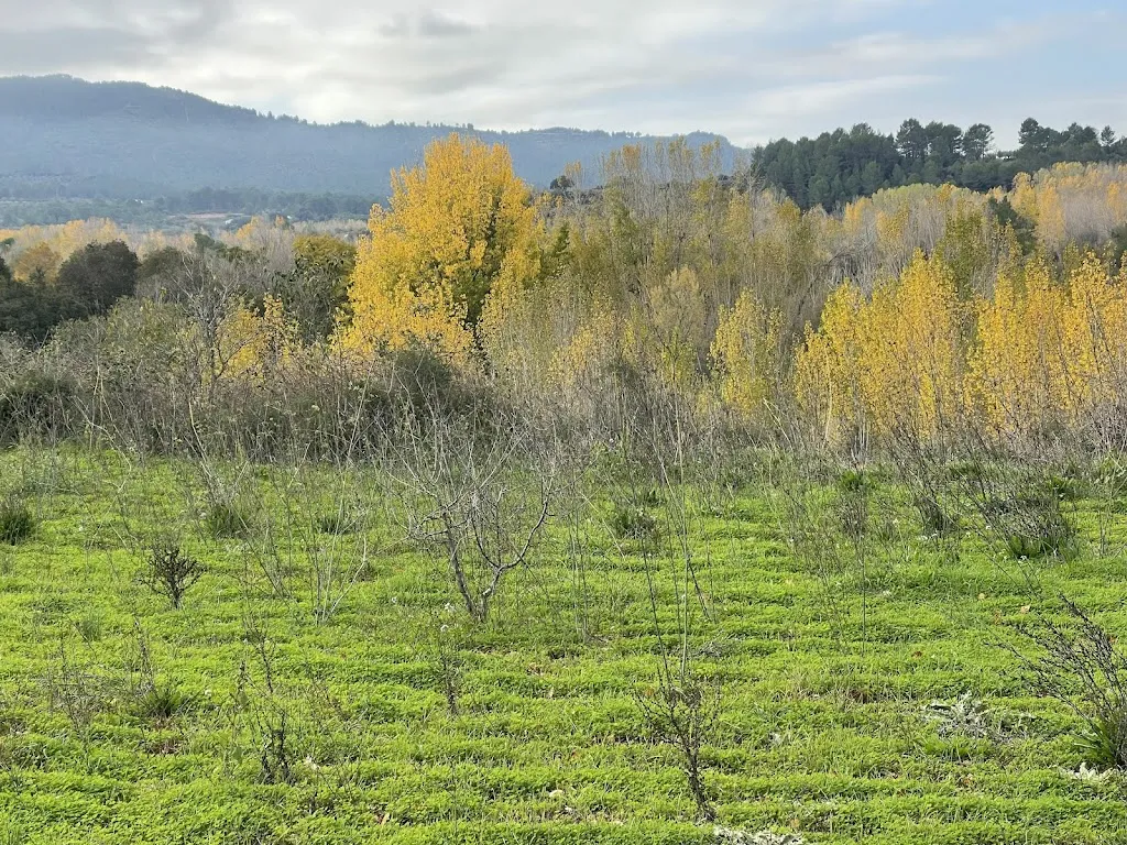 Linda Reiha_Restaurante/Albergue del Serpis_Lorcha/Orxa l_review