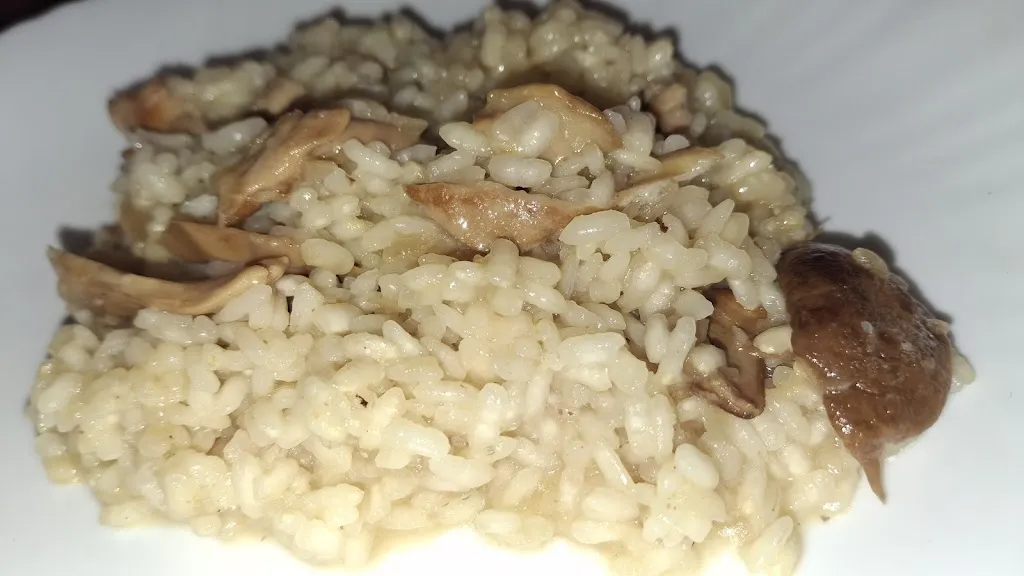 Cosme Moya i Martínez_Eth Raco de Pi_Bossòst_review