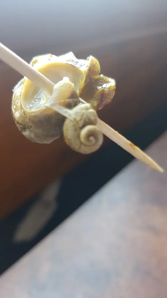 Menu_Restaurant Bargués_Cervera_image_6