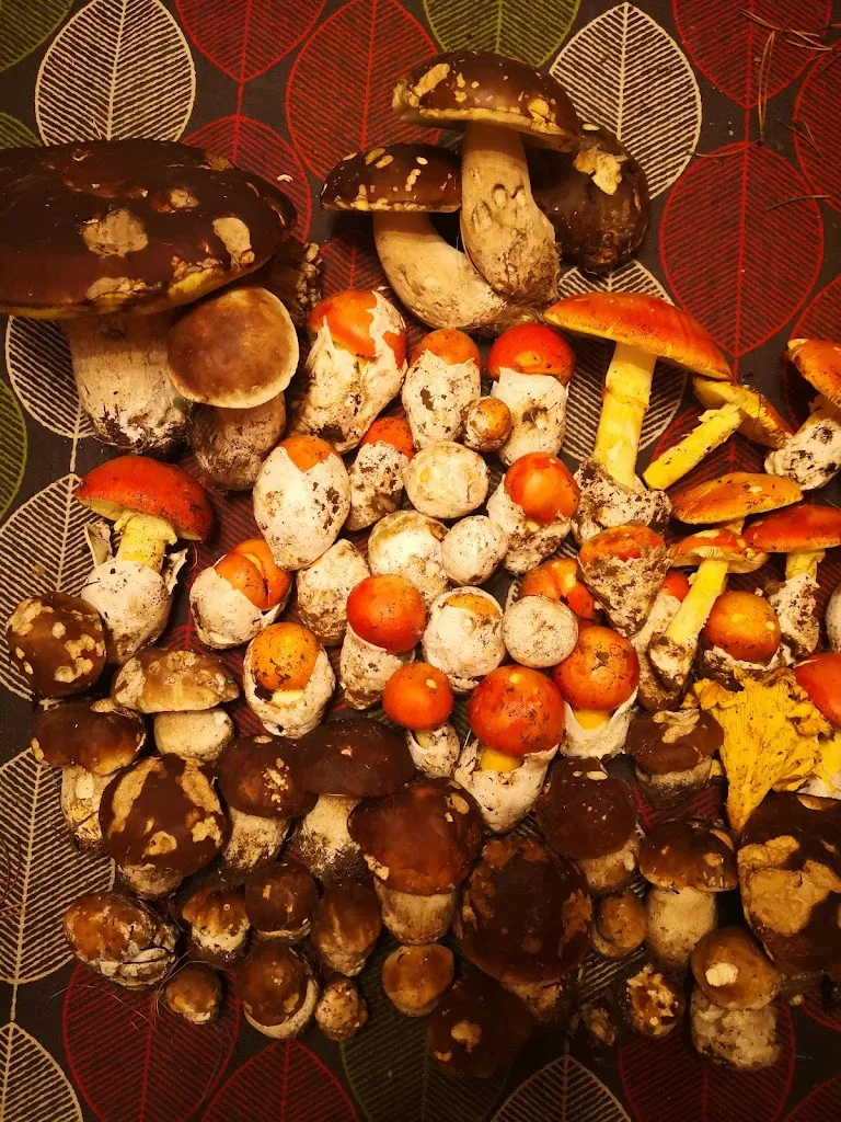 Bar Restaurant La Penya_Castell de Mur_slider_image_2