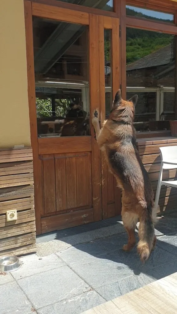 L'Avet de Sant Maurici_Espot_slider_image_2