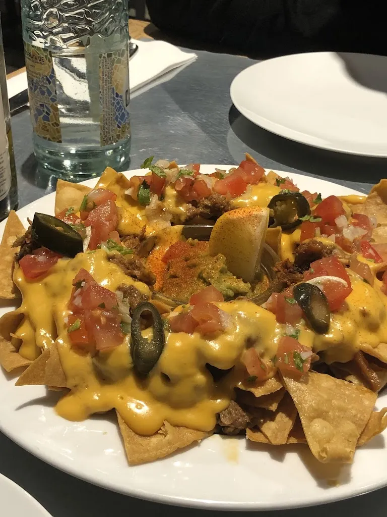 L_Teresa Carles_Fulleda_review