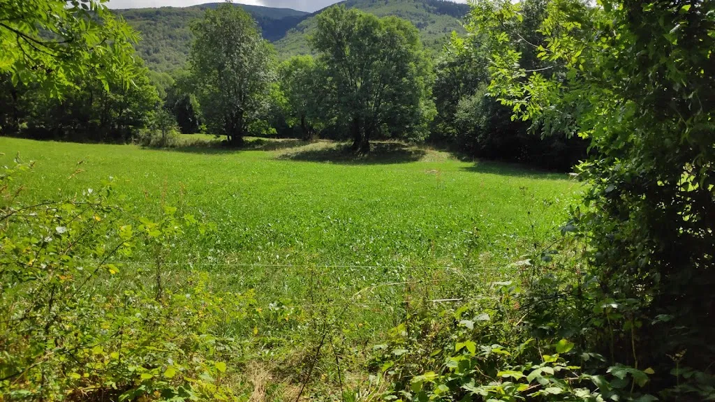 Maribel Marin_Lo Pardal_Fuliola La_review