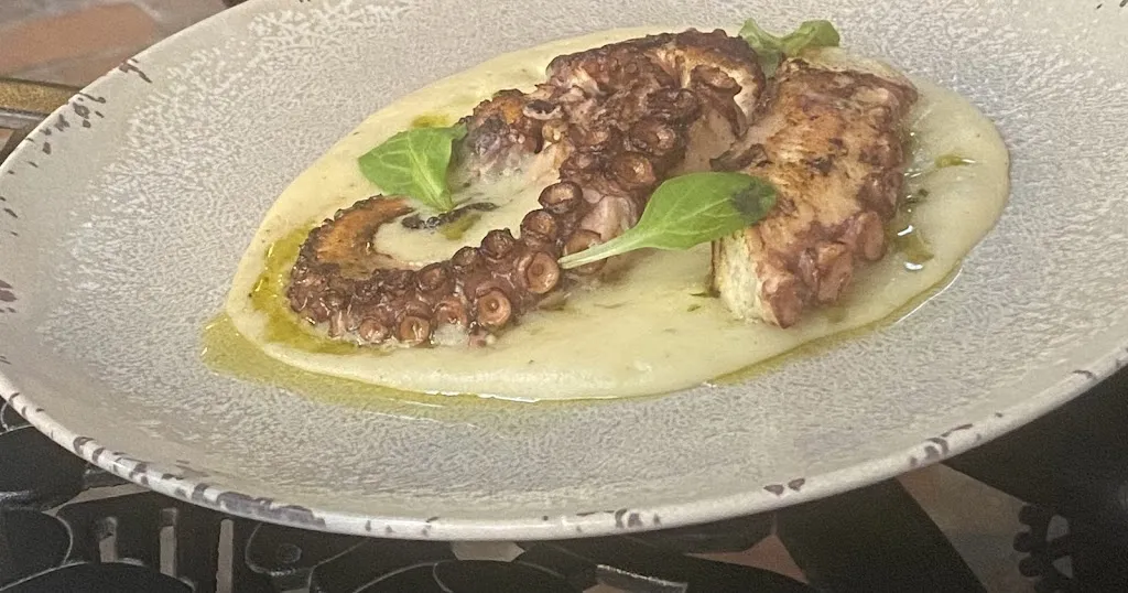 Hub Mys_OLEIS_Farrera_review