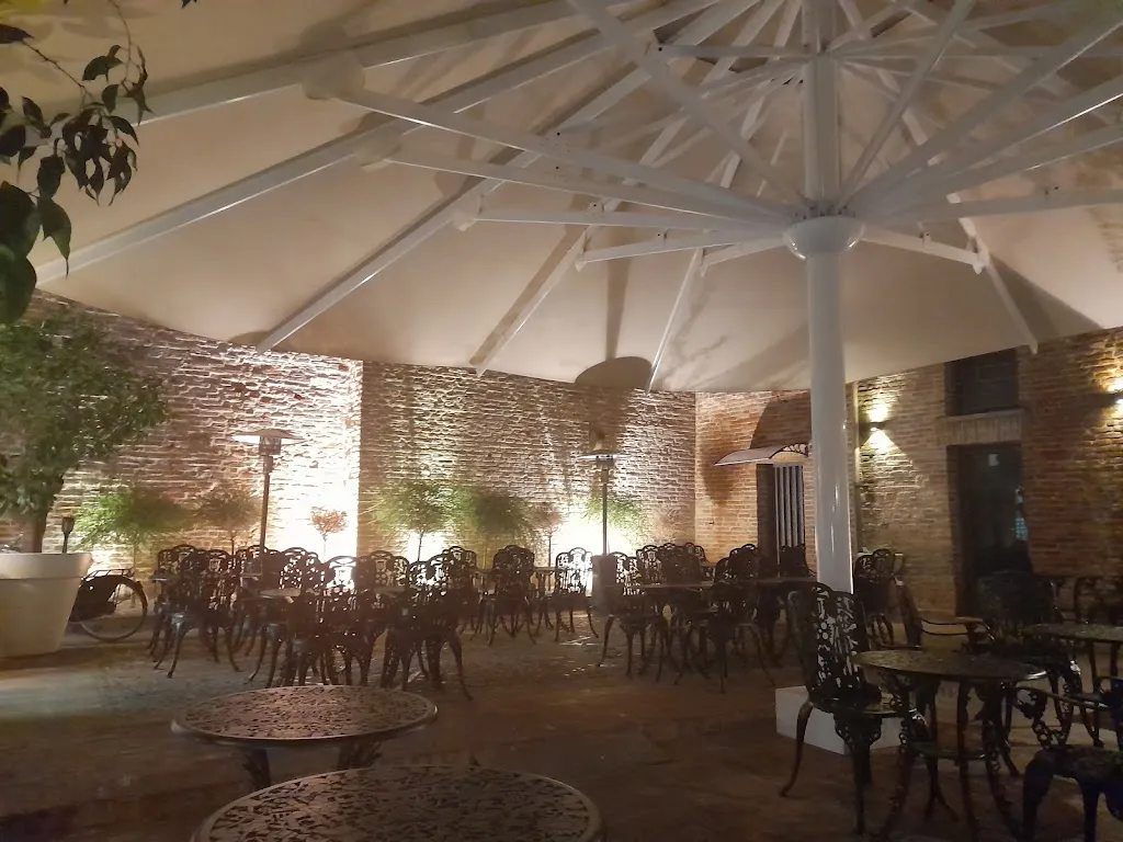 Nizar Kassis_OLEIS_Farrera_review