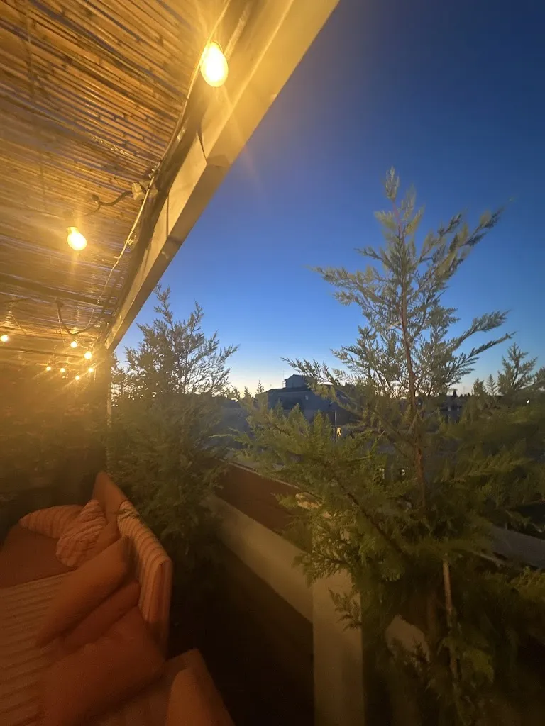 yanired lopez_Irreverente Madrid_Ivorra_review