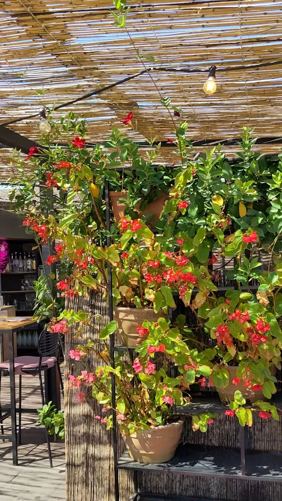 Irreverente Madrid_Ivorra_slider_image_2