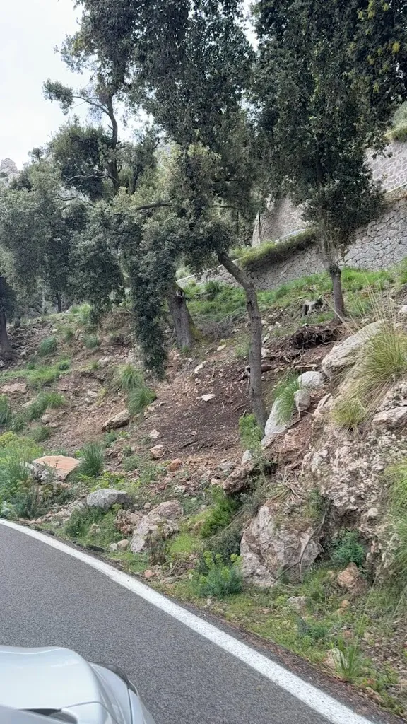 Nora Naatz_Restaurant Es Guix_Guixers_review