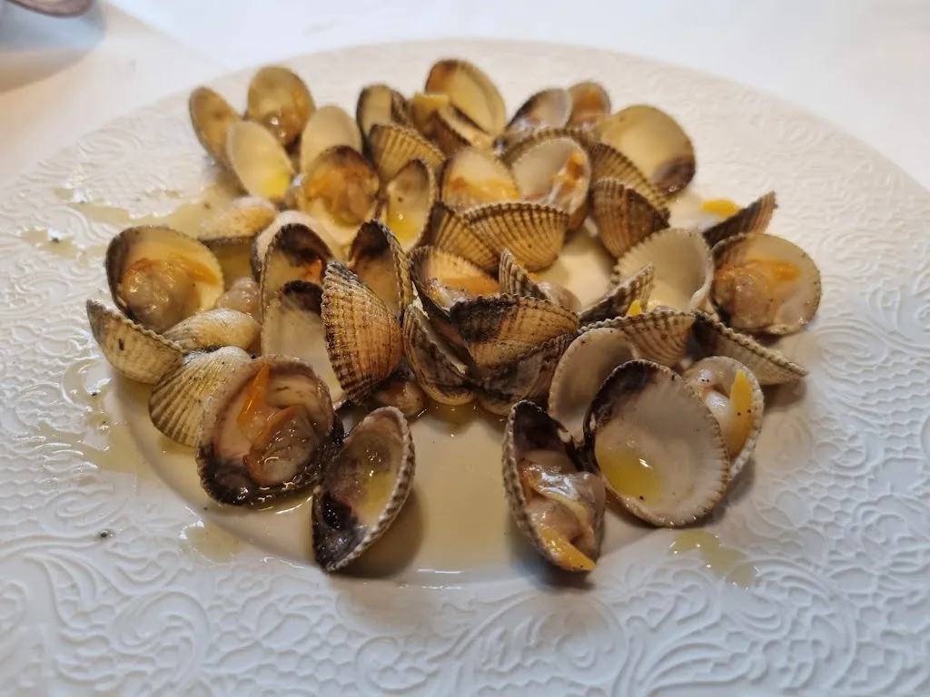 AMOCA I Linyola_Linyola_slider_image_2