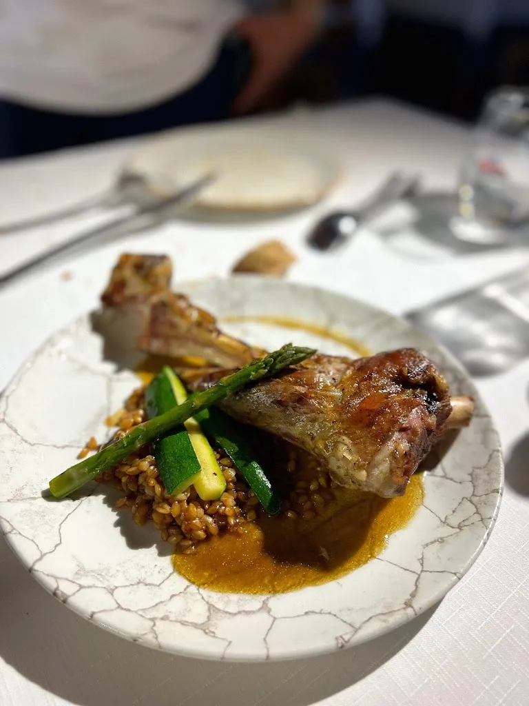 YC_Ferreruela_Lleida_review