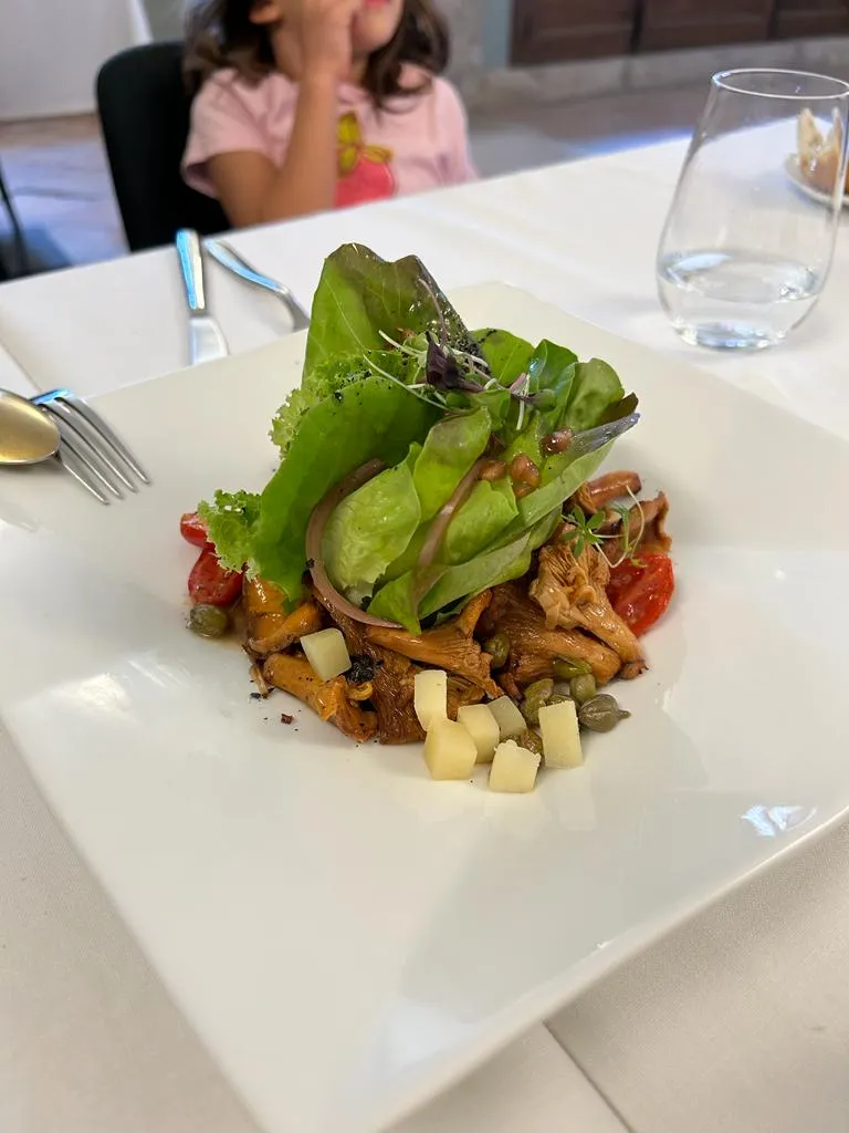 aysen imam_Els Condals de Cervera_Montoliu de Segarra_review