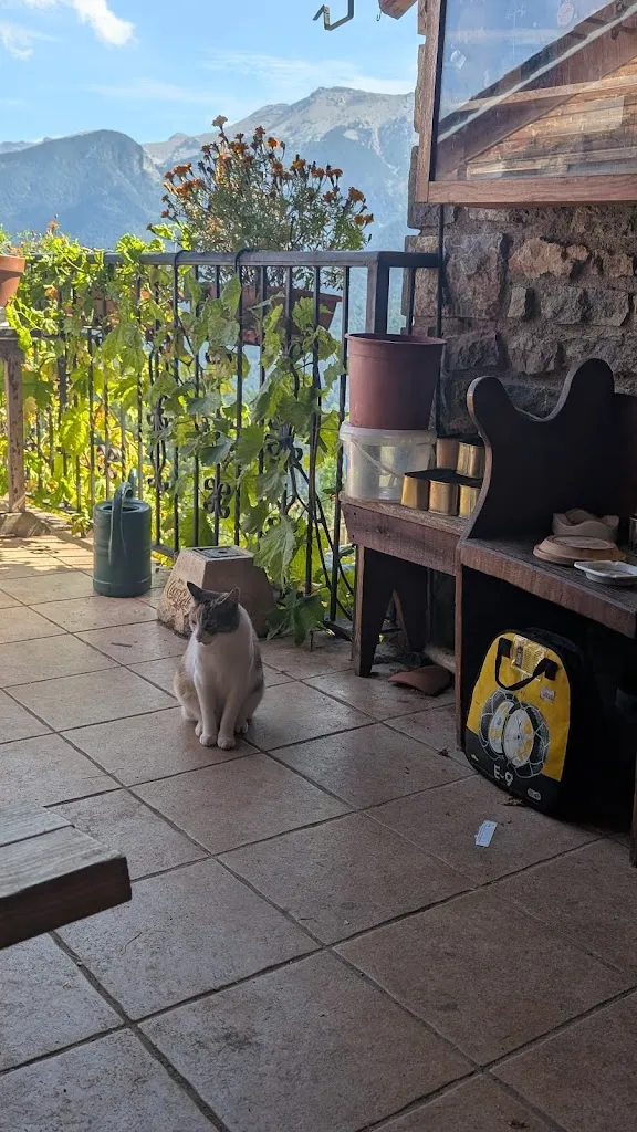 SA_Restaurant Cal Basté_Montellà i Martinet_review