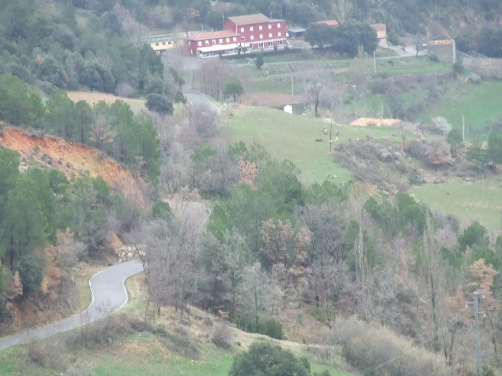 Mogs_Fonda Ca L'Agustí_Odèn_review