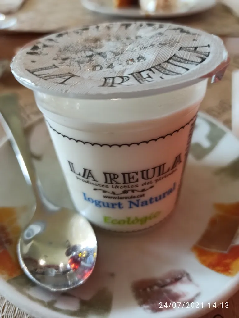 Menu_Restaurant Camping Gran Sol_Montferrer i Castellbò_immagine_8