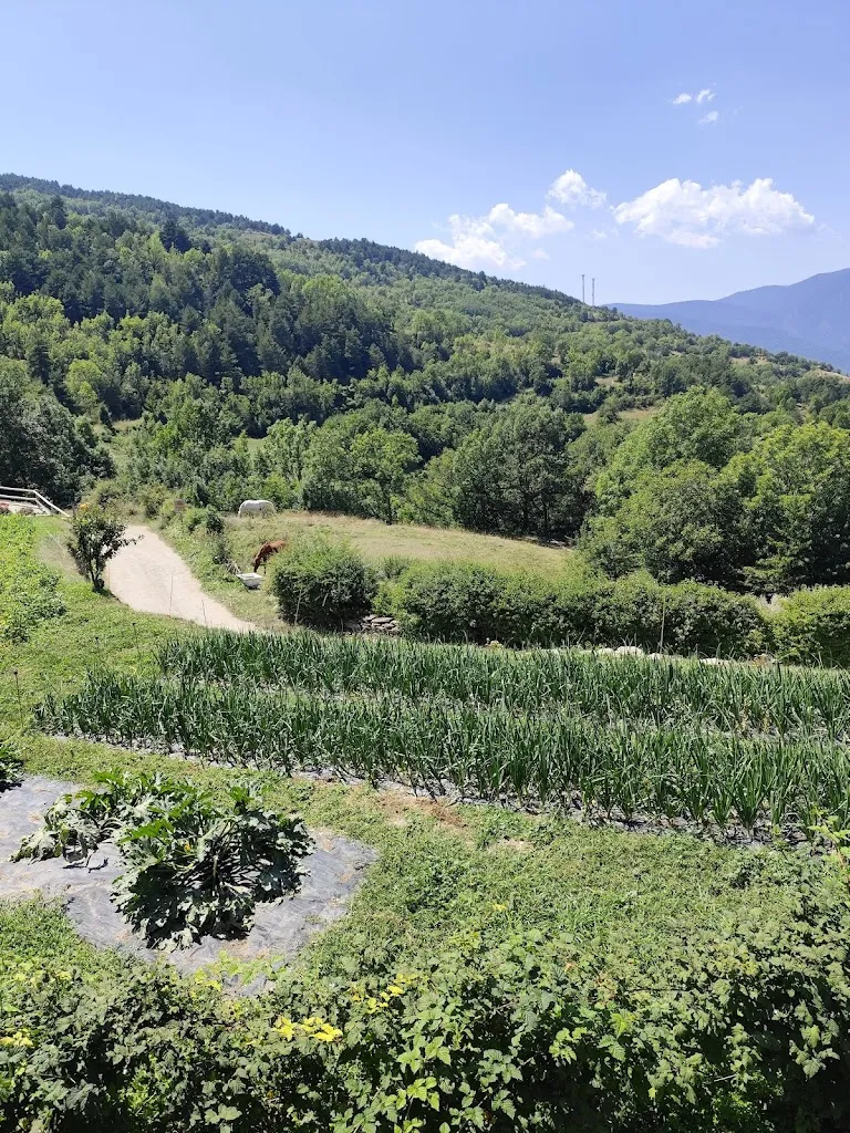 Natalia GV_L'Era del Julià, Restaurant de muntanya_Montferrer i Castellbò_recensione