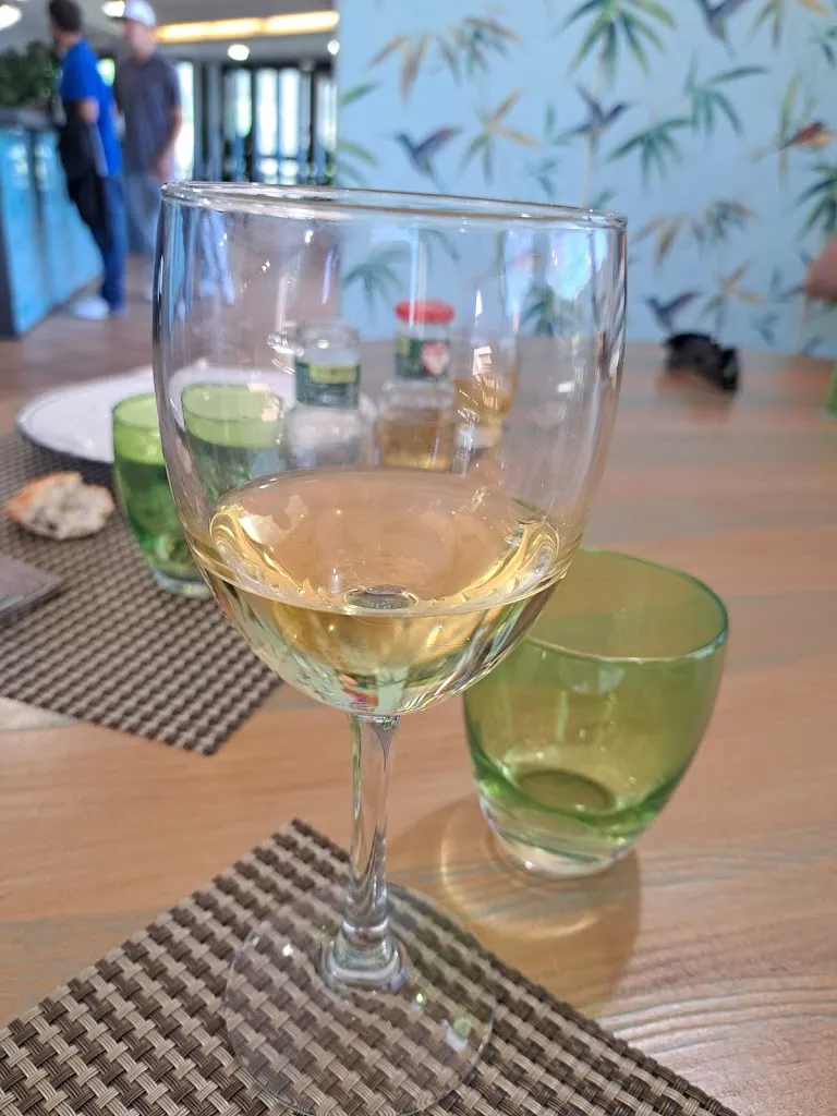 Barcelona Manresa_Aravell Restaurant_Montferrer i Castellbò_review