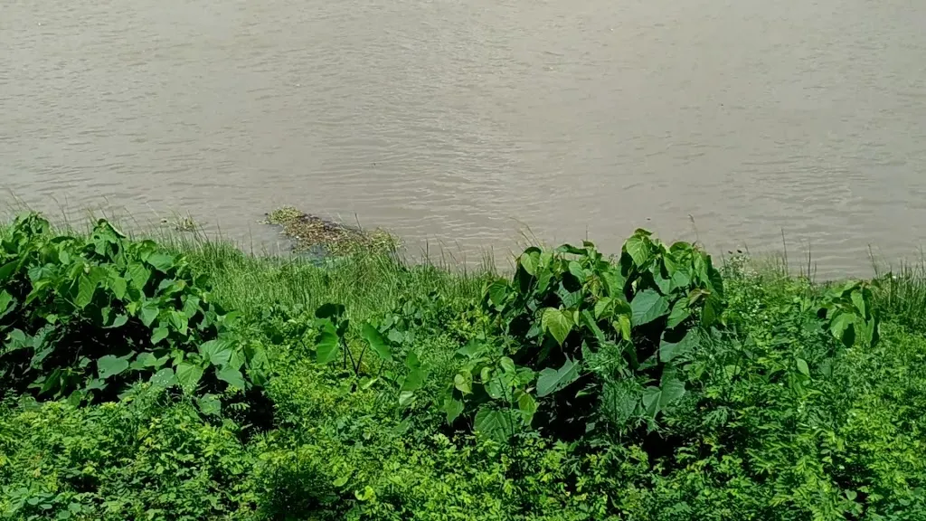 Restaurant Swaad 2_Maldà_slider_image_2