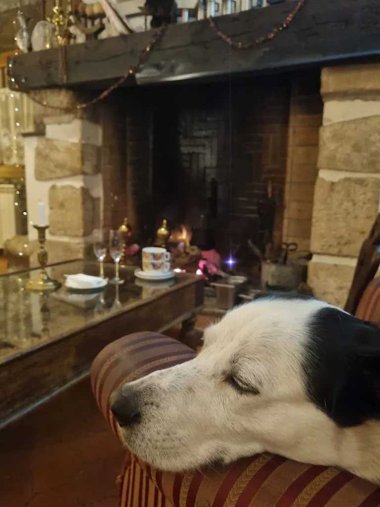 Timofei Zhevlakov_CASA MESTRES RESTAURANT_Naut Aran_review