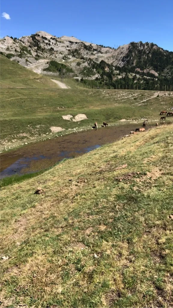 Proton Mango_Cap del Port_Naut Aran_review