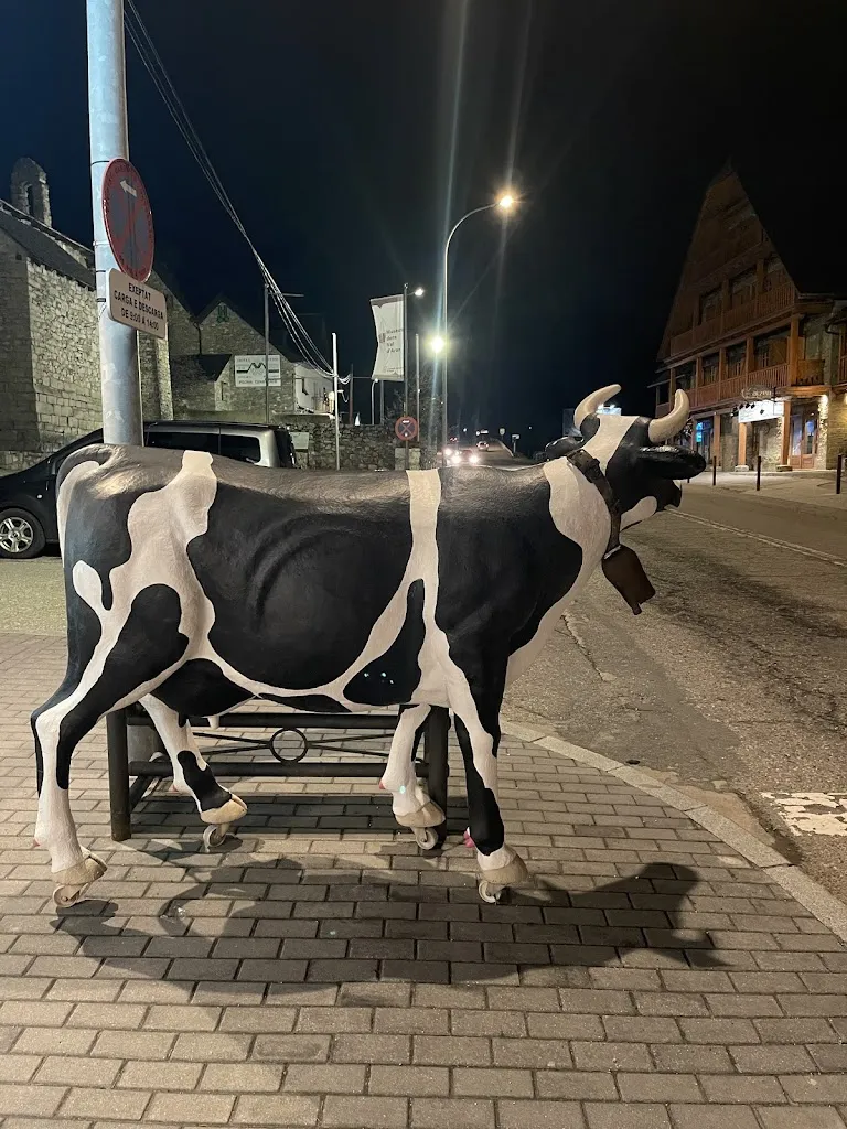 Qamar Farooq_Restaurante Pollo Loco_Naut Aran_review