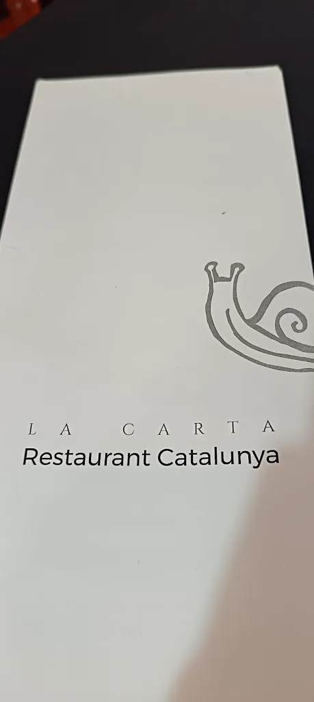Yona m.r._Restaurant Catalunya_Vilagrassa_recensione