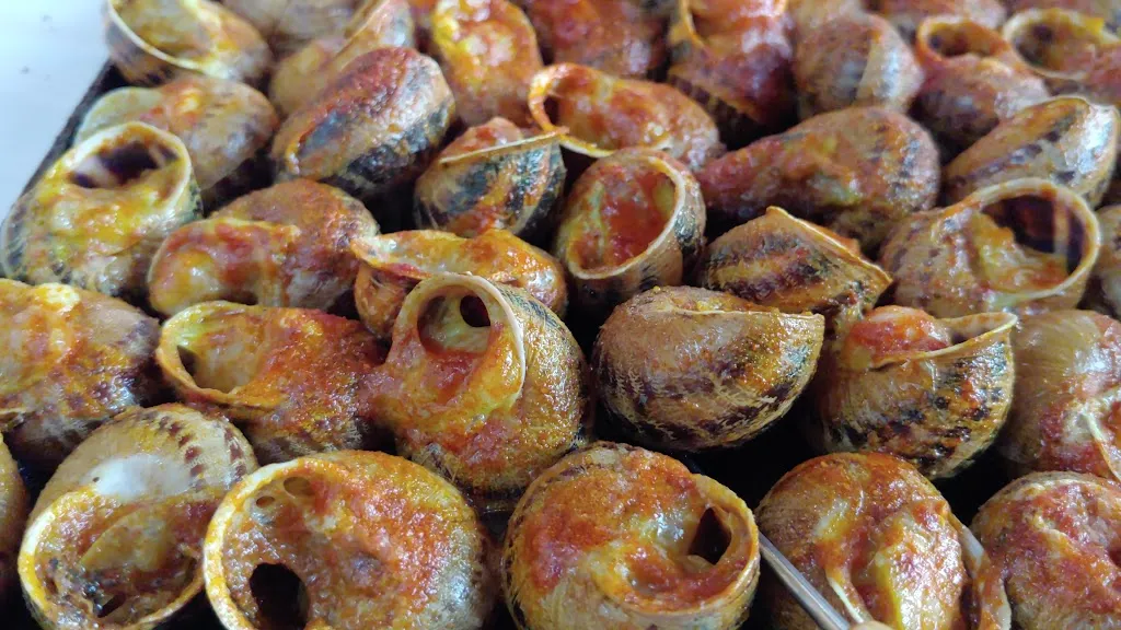 Restaurant Catalunya_Vilagrassa_slider_image_2