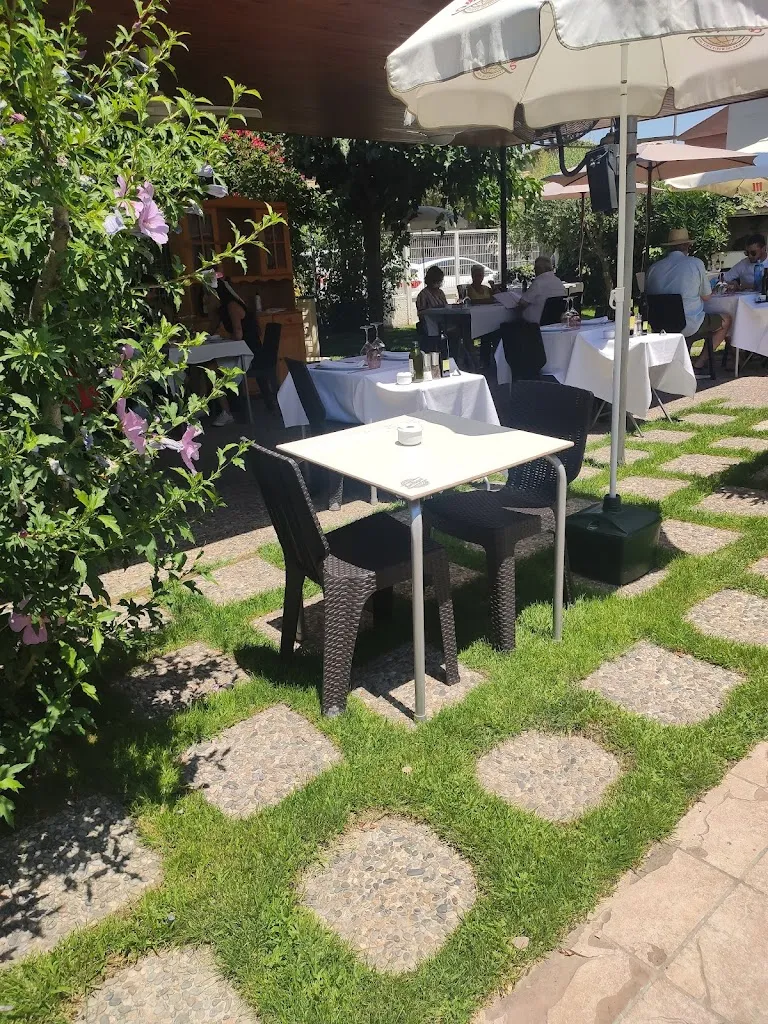 Marc Ll._Petit Xiroi_Vila-sana_review