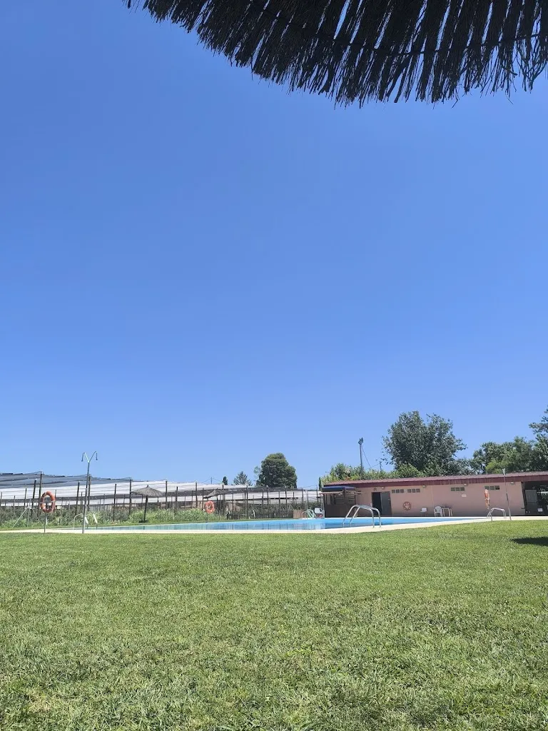 Ángeles Segret_Bar del plataner_Vila-sana_review