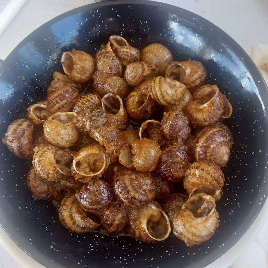 Mercè Trepat_El Sindicat Bar Restaurant Terrassa_Vilanova de Meià_review